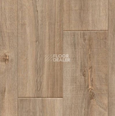 Линолеум IVC Velvet Noble Oak W32 фото 1 | FLOORDEALER